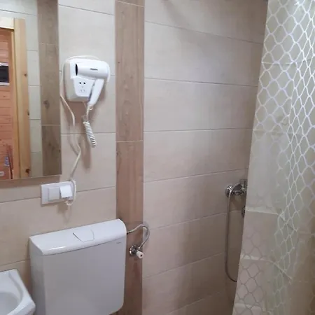 Brvnare Stojic Apartment