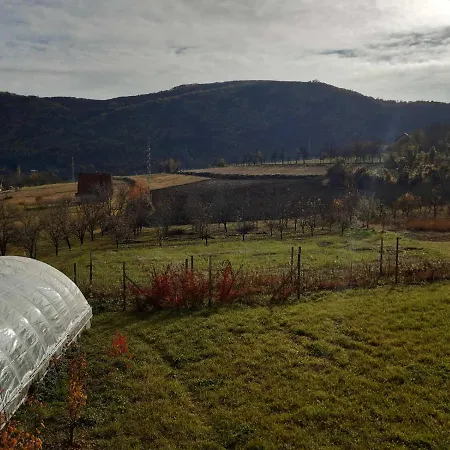 Brvnare Stojic Kokin Brod