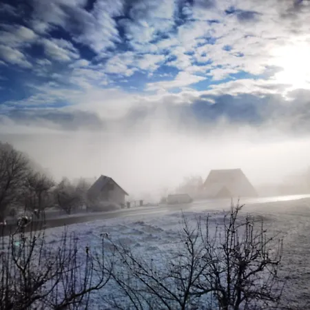 Brvnare Stojic Appartement *