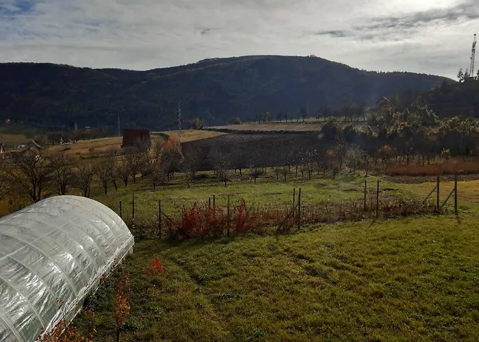 Brvnare Stojic Kokin Brod