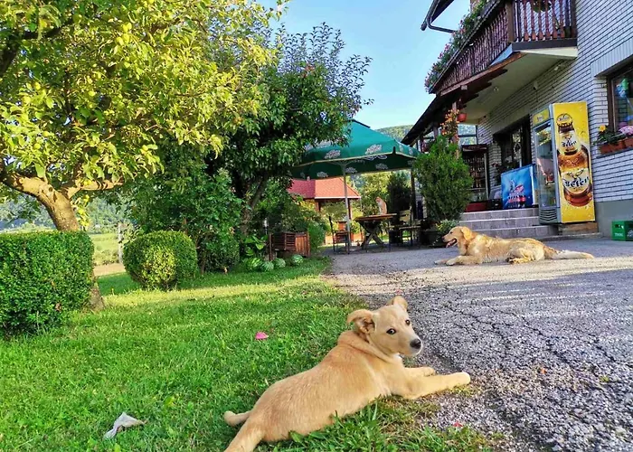 Apartment Brvnare Stojic