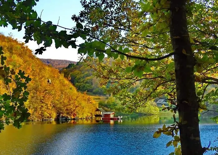 Apartment Brvnare Stojic Kokin Brod