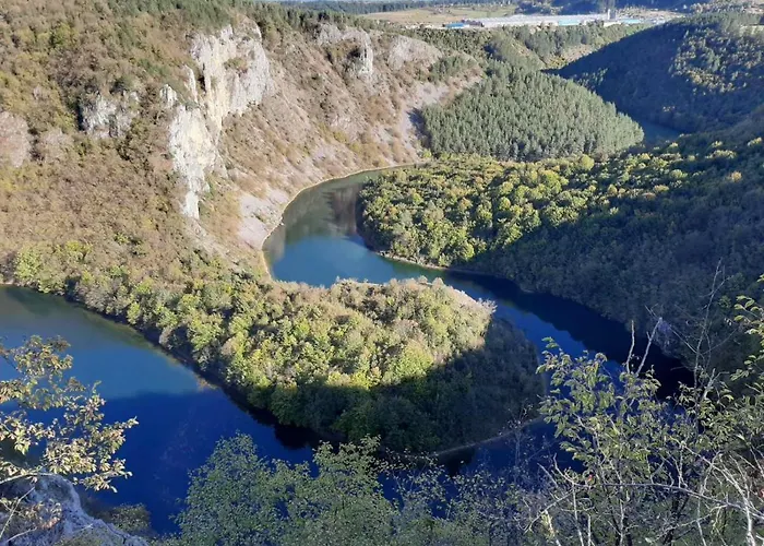 Brvnare Stojic * Kokin Brod