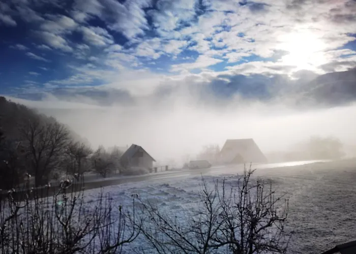 Brvnare Stojic Apartment *